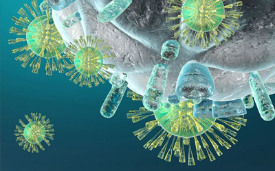 معمل المناعة