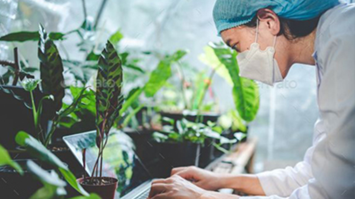 أعضاء هيئة تدريس قسم علوم النبات والميكروبيولوجى